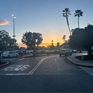 Meet your Posher, Tamaralynn